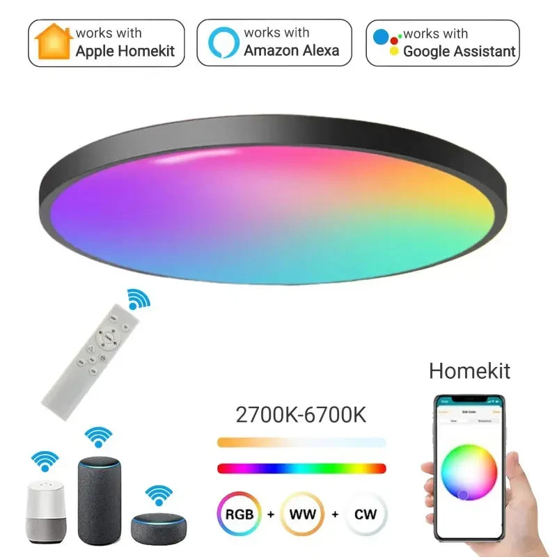 Smart Wifi LED ceiling lamp APP scan code directly connected to remote Alexa voice control time switch 24W ceiling light