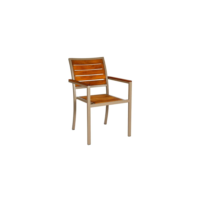 Sancrea April 619- Aluminium & Wood-Look Accent Chair