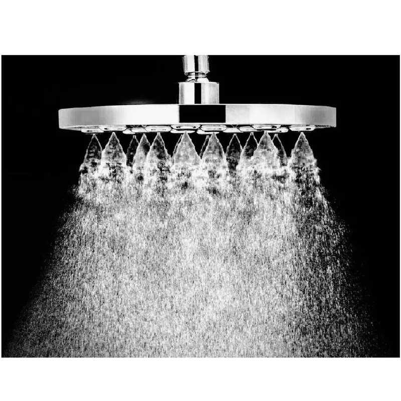 SR18 - Shower Rose