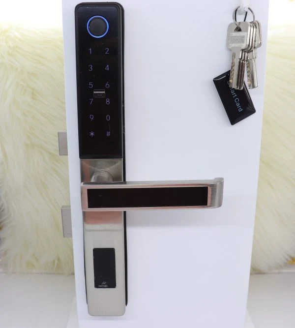 VILA Smart Lock, D09 SN ,With WiFi Tuya App, Display screen,Keypad Digital,Biometric Fingerprint,IC Card,Mechanical key Unlock for Apartment Hotel Home Use. COLOR: (BLACK+SILVER)