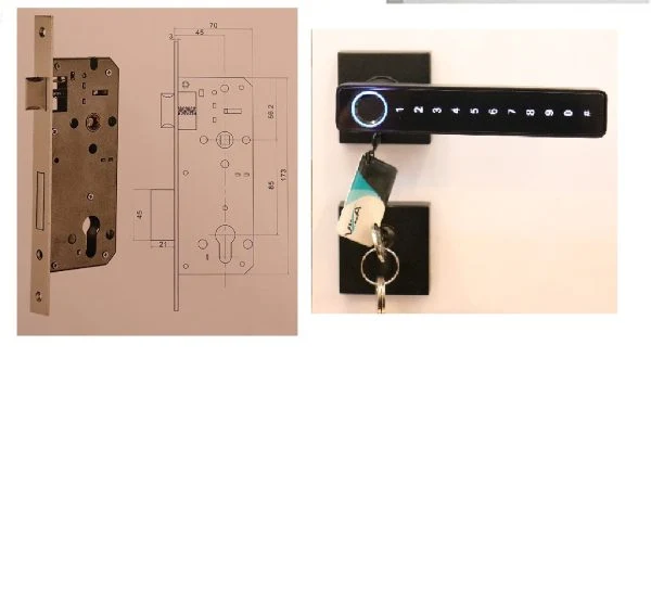 Vila Fingerprint Door Lock With BLUETOOTH Smart APP Tuya Remote Control Digital,Biometric Fingerprint,IC Card,Mechanical key Unlock for Apartment Hotel Home Use (Color Black)